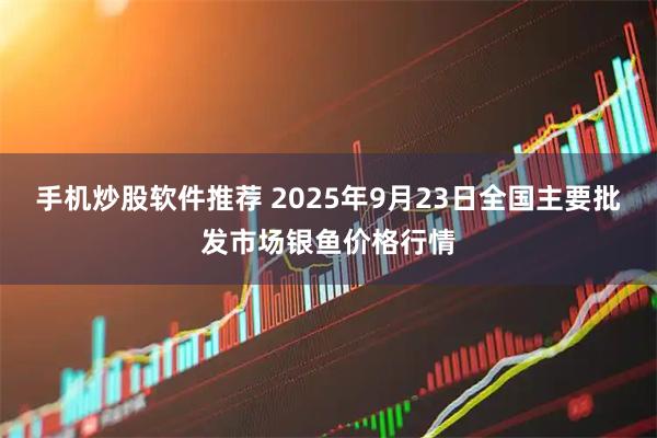 手机炒股软件推荐 2025年9月23日全国主要批发市场银鱼价格行情