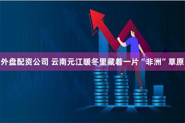 外盘配资公司 云南元江暖冬里藏着一片“非洲”草原